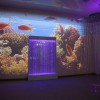 Проекционный дизайн "Виртуальная реальность" базовый комплект 500 анимаций - «globural.ru» - Клин