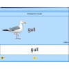 Английский язык. Освоение клавиатуры - «globural.ru» - Клин