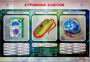 Стенды для кабинета биологии - «globural.ru» - Клин