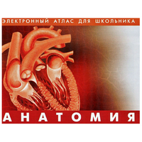 Анатомия. (Цифровой атлас школьника) - «globural.ru» - Клин