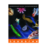 Зоология. Микрофотографии. (Цифровая база изображений) - «globural.ru» - Клин