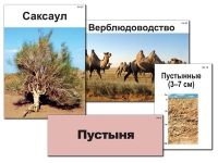Модель-аппликация "Природные зоны России" - «globural.ru» - Клин