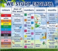 Стенд "We study english" - «globural.ru» - Клин