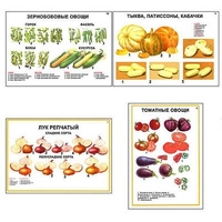 Плакаты ПРОФТЕХ "Ассортимент овощных культур" (12 пл, винил, 70х100) - «globural.ru» - Клин