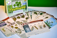 Гербарий к курсу основ общей биологии - «globural.ru» - Клин
