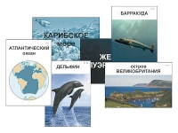 Модель-аппликация "Океаны. Знакомство" (ламинированная) - «globural.ru» - Клин