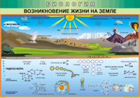 Таблица Возникновение жизни на Земле 1000*1400 винил - «globural.ru» - Клин