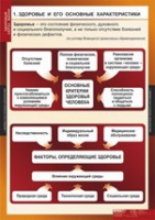 ОБЖ Здоровый образ жизни (комплект таблиц) - «globural.ru» - Клин