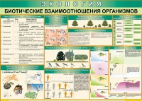 Таблица Биотические взаимоотношения организмов 1000*700 (винил) - «globural.ru» - Клин