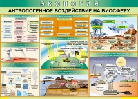 Таблица Антропогенное воздействие на биосферу 1000*700 винил - «globural.ru» - Клин