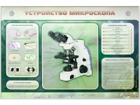 Электрифицированный стенд "Устройство микроскопа и правила работы c ним" - «globural.ru» - Клин