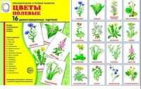 Демонстрационные карточки "Цветы полевые" - «globural.ru» - Клин