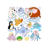 Пазлы "Арктические животные" - «globural.ru» - Клин