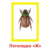Логопедка "Ж" (логопедические карточки) - «globural.ru» - Клин