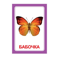 Логопедка "Ч" (логопедические карточки) - «globural.ru» - Клин