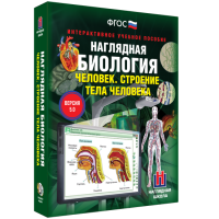 Наглядная биология. Человек. Строение тела человека - «globural.ru» - Клин