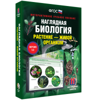 Наглядная биология. Растение - живой организм - «globural.ru» - Клин