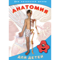 DVD  Анатомия для детей - «globural.ru» - Клин