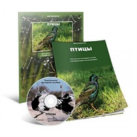 Электронное наглядное пособие «Птицы» - «globural.ru» - Клин