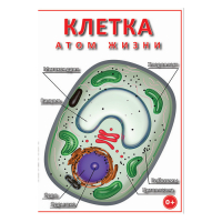 DVD Клетка - "атом жизни" - «globural.ru» - Клин