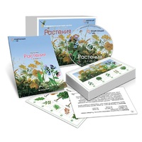 Комбинированное наглядное пособие «Растения» - «globural.ru» - Клин