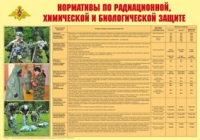 Плакат "Нормативы по радиационной, химической и биологической защите" - «globural.ru» - Клин