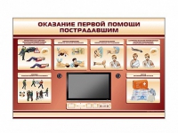 Многофункциональный интерактивный стенд-тренажер "Оказание первой помощи пострадавшим" для учащихся общеобразовательных учреждений - «globural.ru» - Клин