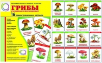 Демонстрационные карточки  "Грибы съедобные и не съедобные" - «globural.ru» - Клин