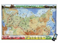 Электронно-информационный (маркерный) стенд "Природа России" адаптивный, с сенсорным пультом управления и планшетом со шрифтом Брайля (география) - «globural.ru» - Клин