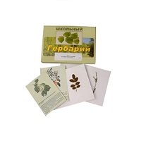 Гербарий "Деревья и кустарники" (22 вида, с иллюстрациями) - «globural.ru» - Клин