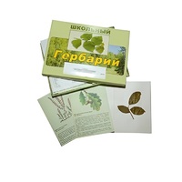 Гербарий "Дикорастущие растения" (30 видов, с иллюстрациями) - «globural.ru» - Клин