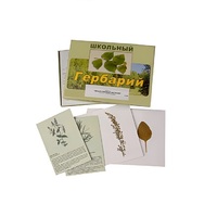 Гербарий "Лекарственные растения" (22 вида, с иллюстрациями) - «globural.ru» - Клин