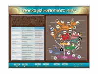 Интерактивный электрифицированный стенд "Эволюция животного мира" - «globural.ru» - Клин