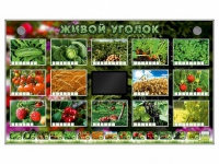 Комплект оборудования "Живой уголок" (растения) - «globural.ru» - Клин