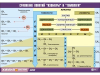 Таблица демонстрационная "Сравнение понятий изомер и гомолог" (винил 100х140) - «globural.ru» - Клин