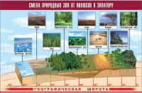 Таблица демонстрационная "Смена природных зон от полюсов к экватору" (винил 70x100) - «globural.ru» - Клин