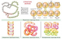 Плакаты и таблицы по общей химии - «globural.ru» - Клин
