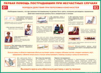 Таблица Порядок действий при переломах конечностей 1000*1400 винил - «globural.ru» - Клин