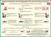 Таблица Порядок действий при ранениях и термических ожогах	 1000*1400 винил - «globural.ru» - Клин