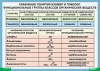 Химия. Сравнение понятий изомер и гомолог. Функциональные группы классов органических веществ (винил) - «globural.ru» - Клин