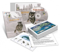 Комбинированное наглядное пособие «Животные» - «globural.ru» - Клин
