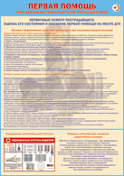 Плакат "Первичный осмотр пострадавшего, оценка его состояния и оказание первой помощи на месте ДТП " 1000*1400 винил - «globural.ru» - Клин