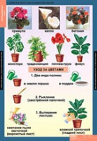 Окружающий мир 1 класс (комплект таблиц) - «globural.ru» - Клин