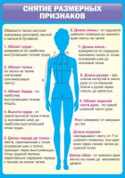 Стенд "Снятие мерок" (вариант 2) - «globural.ru» - Клин