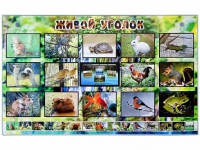 Комплект оборудования "Живой уголок" (животные) с тифлопереводом и сурдокомментариями - «globural.ru» - Клин