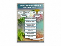 Стенд "Схема приготовления мясных котлет" - «globural.ru» - Клин
