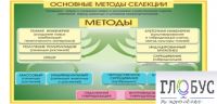 Стенд "Методы селекции и биотехнологии" - «globural.ru» - Клин
