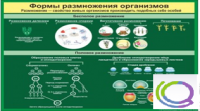 Стенд "Формы размножения организмов" - «globural.ru» - Клин