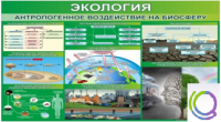 Стенд "Экология. Антропогенное воздействие на биосферу" - «globural.ru» - Клин