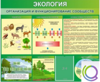 Стенд "Экология. Организация и функционирование сообществ" - «globural.ru» - Клин